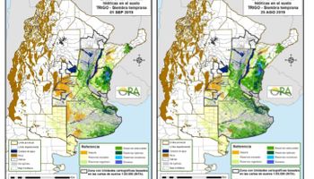 Comienza a preocupar la falta de agua para el trigo