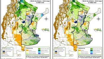 Estiman que en la zona núcleo se extendió el área con sequía