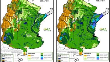 Sin lluvias drenan los suelos y avanza la cosecha
