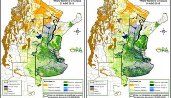 Progresivo desecamiento en lotes de trigo