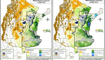 Trigo: mirá las zonas que corren riesgo de déficit hídrico