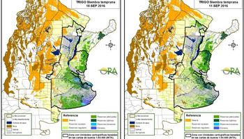 Trigo: ¿Cuál es la situación actual de las reservas de humedad?