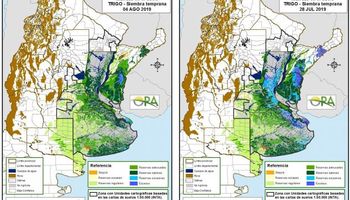 Destacan reservas óptimas en lotes de trigo en la etapa final de siembra