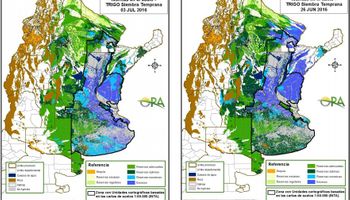 Excesos hídricos combaten contra las lluvias
