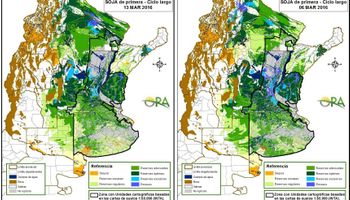 Soja: sin lluvias los excesos siguen drenando
