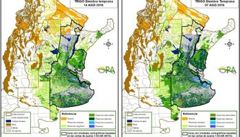 El trigo y las reservas de humedad siguen siendo aliados