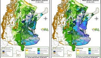Una semana de tregua para los excesos en trigo