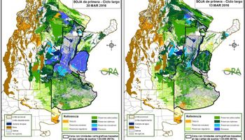 Algunos excesos hídricos podrían demorar la cosecha