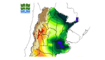 Las reservas de humedad favorecen al trigo