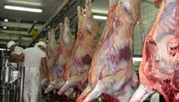 Exportaciones de carne bajaron 30%
