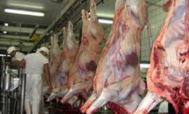 Exportaciones de carne bajaron 30%