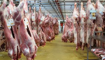 Chinos aumentaron el consumo de carne roja