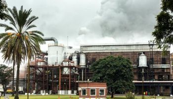 Tucumán: terminó la zafra azucarera y se molió un 7,6 % más de caña bruta 