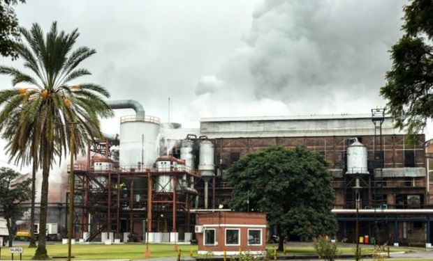 Tucumán: terminó la zafra azucarera y se molió un 7,6 % más de caña bruta 