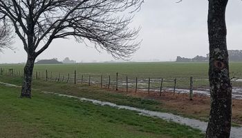 La calma antes de la tormenta: lluvias importantes durante el fin de semana en zonas con saturación en los suelos