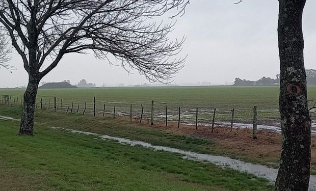 La calma antes de la tormenta: lluvias importantes durante el fin de semana en zonas con saturación en los suelos