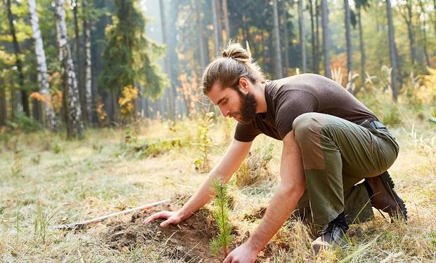 Europa aprova lei que obriga restauração de 20% de sua vegetação original até 2030