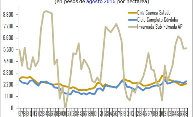 Fuente: Ministerio de Agroindustria