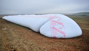 Productores vuelven a retener soja