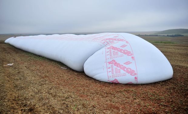 Productores vuelven a retener soja