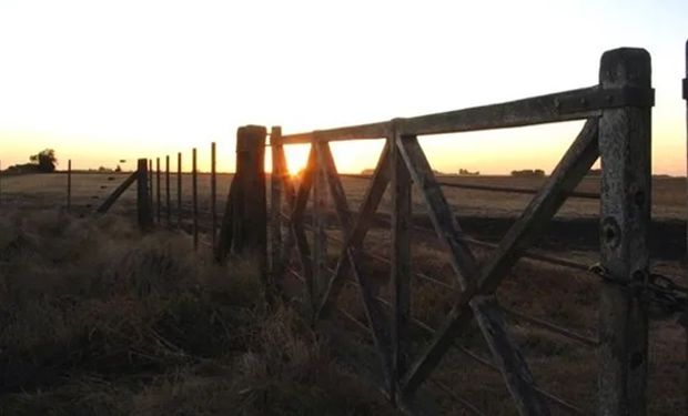 Aclaran que el nuevo impuesto al agro es para 450 personas: cuál es el alcance del tributo que impulsa Massa