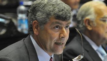 Ricardo Buryaile es el ministro de Agricultura de Macri