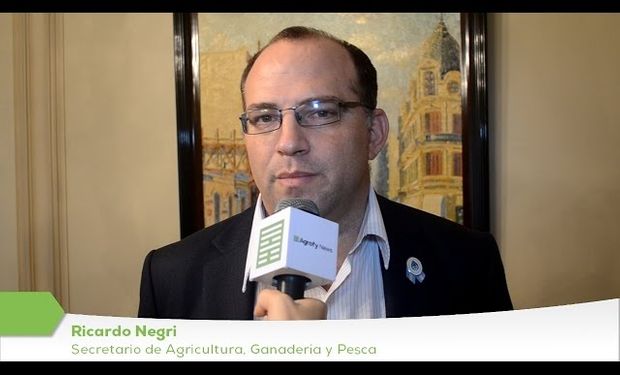 "El aumento en la producción de granos y los precios más baratos son un estímulo muy fuerte para la transformación en proteína animal", Ricardo Negri.