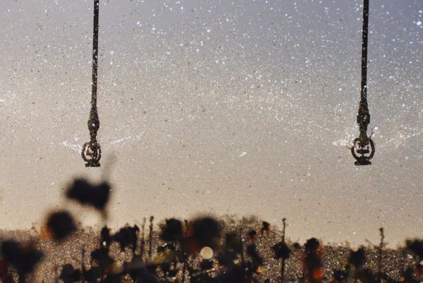 La inteligencia artificial permite detectar el riego agr&iacute;cola desde el aire y mejora el monitoreo del uso del agua en el campo