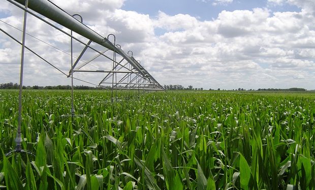 Trigo, maíz y soja con riego: cuánto cuesta y cuándo es negocio