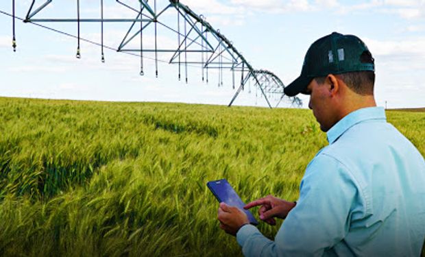 Una multinacional llega a la Argentina con el objetivo de revolucionar a la agricultura con un smartphone: cuál es el socio local con que el cerraron acuerdo