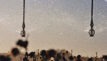 En Argentina hay 2,5 millones de hectáreas bajo riego: “Irrigar es el tren del futuro, quienes se suban estarán yendo más allá”, destacan y estiman que el potencial es de 10 millones de hectáreas