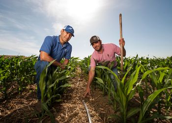 El novedoso sistema de riego para soja y maíz que no se ve y que ya explica 2 de cada 10 nuevos proyectos en Argentina: permite regar el 100% del lote independientemente de su forma o pendiente