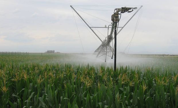 Según FAO, Argentina puede sumar 6,9 millones de hectáreas bajo riego.