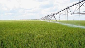 Lanzan plan para incorporar un millón de hectáreas a sistema de riego