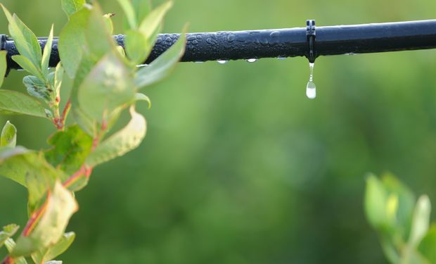 Este desarrollo se debió a la necesidad de intensificar la producción principalmente en zonas donde las precipitaciones son deficientes.