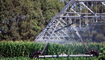 Se sumaron 600 equipos de riego por pivot al campo argentino: también se suman más de 8.400 hectáreas de riego por goteo