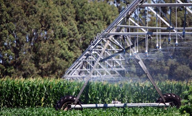 Se sumaron 600 equipos de riego por pivot al campo argentino: también se suman más de 8.400 hectáreas de riego por goteo