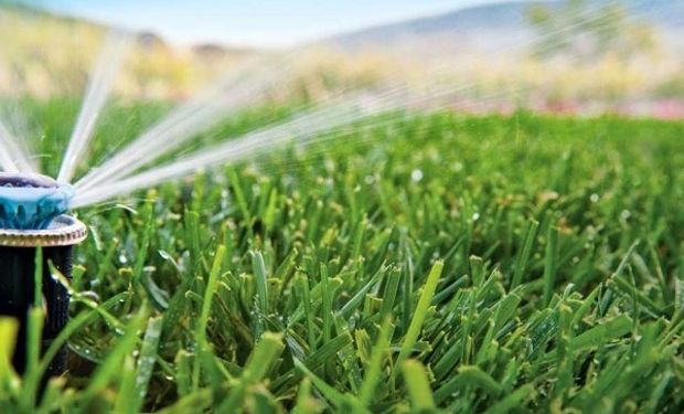 Premiarán con NFTs y beneficios económicos a productores que logren ahorrar agua en sus prácticas agrícolas