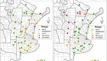 Los trigos del este de Buenos Aires tienen un riesgo alto de excesos hídricos