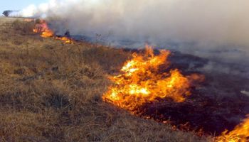 Advierten por un riesgo de incendios muy elevado para el sur de Buenos Aires
