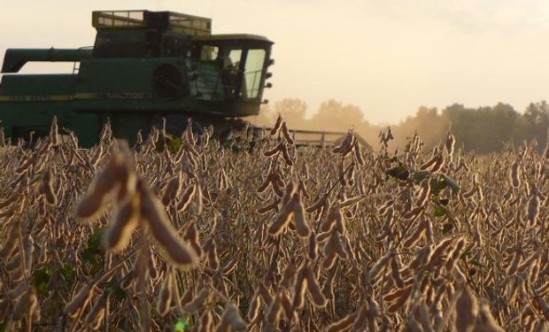 El agua se cobraría unas 600 mil ha de soja en la región núcleo.
