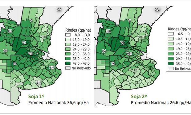 Rotación 2018/19: la soja de primera representó un 69 % de la cosecha y la soja de Segunda un 31 %.