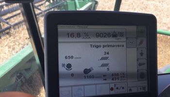 Súper rinde de trigo