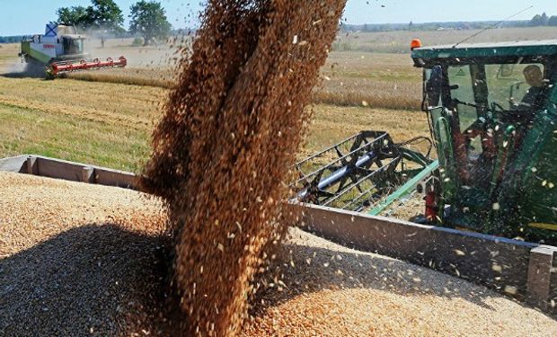 En la zona núcleo hoy se estima una producción que rondaría entre los 3,0 y 3,3 millones de toneladas.