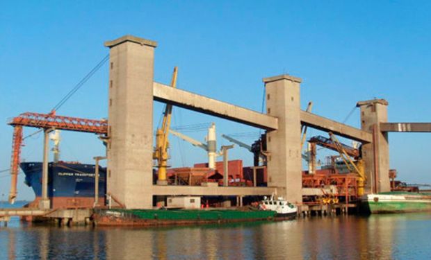 China aparece em 1º lugar no ranking de principais compradores do RS, com US$ 403 milhões e participação de 29% no valor. (foto - divulgação Farsul)