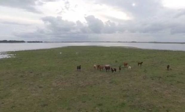 El vuelo de un drone muestra la emergencia que se vive en ese distrito bonaerense.