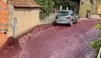 'Rio de vinho' invade ruas em Portugal após vazamento em destilaria