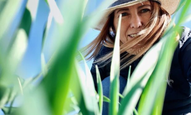 Por primera vez, tres mujeres lideran la principal red de asesores agrícolas: “Somos punta de lanza para los productores”