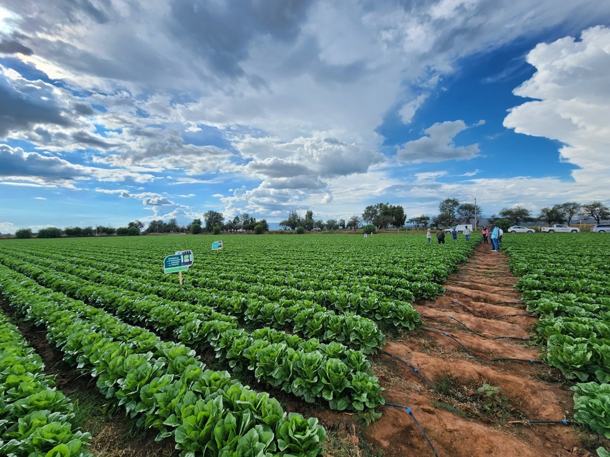 noticiaspuertosantacruz.com.ar - Imagen extraida de: https://news.agrofy.com.ar/noticia/211249/empresa-argentina-agro-que-apuesta-facturar-us-50-millones-mexico-soluciones