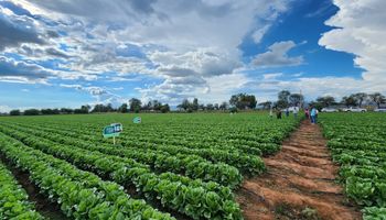 La empresa argentina de agro que apuesta a facturar US$ 50 millones en México con soluciones innovadoras para productores